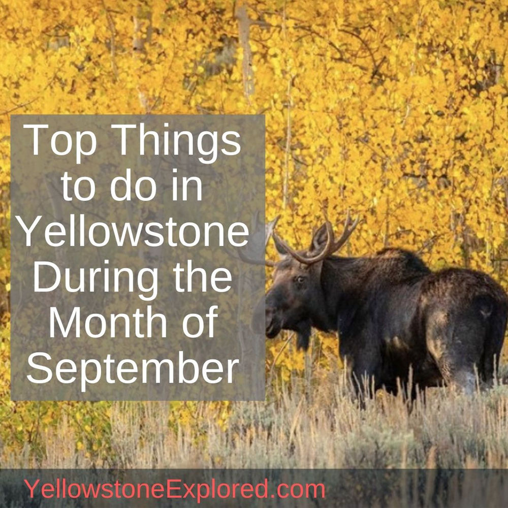 Top Things to do in Yellowstone National Park During the Month of September