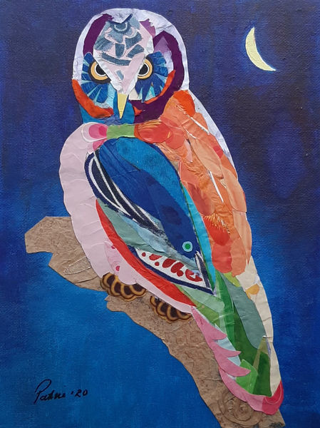 birds, owl