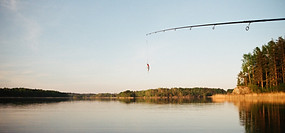 Fishing Bait