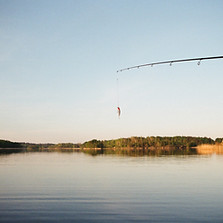Fishing Bait