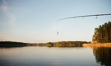 Fishing Bait