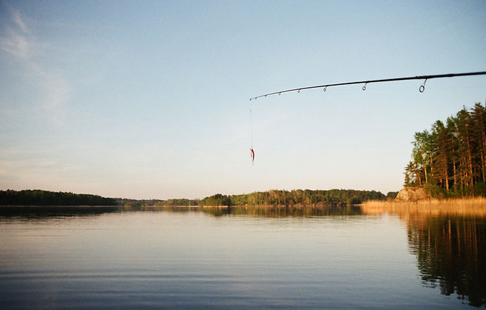 Fishing Bait