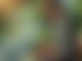 Mindful Faith Moments: A Journey of Mental Wellness and Faith in a Podcast