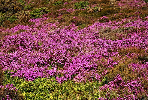 425691776_418520370611235_8555801548002294668_n (1).jpg