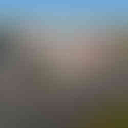 Right hand side of The Sheds at Brendale Precinct