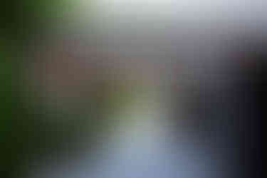 The Sheds Arbour Fairy Lights