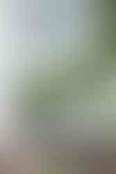 The Sheds at Brendale My Oh My outdoor tables