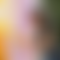 Leah Grant lends her expertise to the Mural @ The Sheds art competition