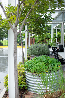 Wattle Run The Sheds at Brendale My Oh My garden area