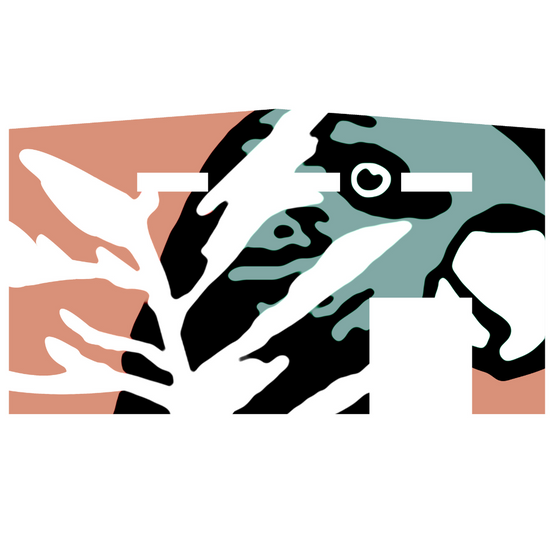 The Sheds at Brendale Mural Art Competition Entry