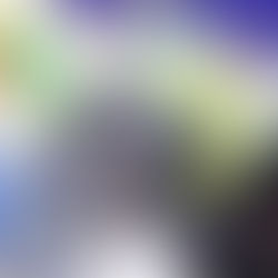 Brisbane Embroidery Exhibition