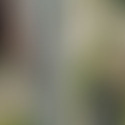 Freshwater Village Construction Update