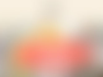 THE NEST HABBY - VINTAGE STALL