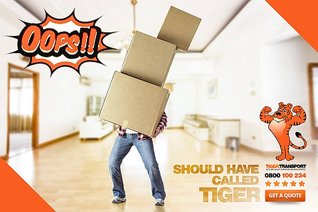 52602501_1916379361823412_19264925482352