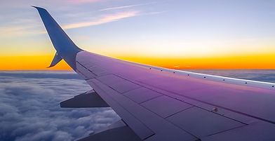 Wing of an aircraft in flight