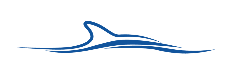 Imagotipo-Blue-Sitio-Web.png
