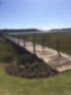 Annual Flowers Planted