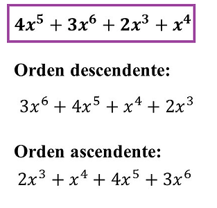 Sin título.png