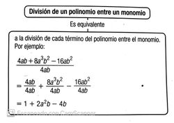 Division de un polinomio entre un monomi