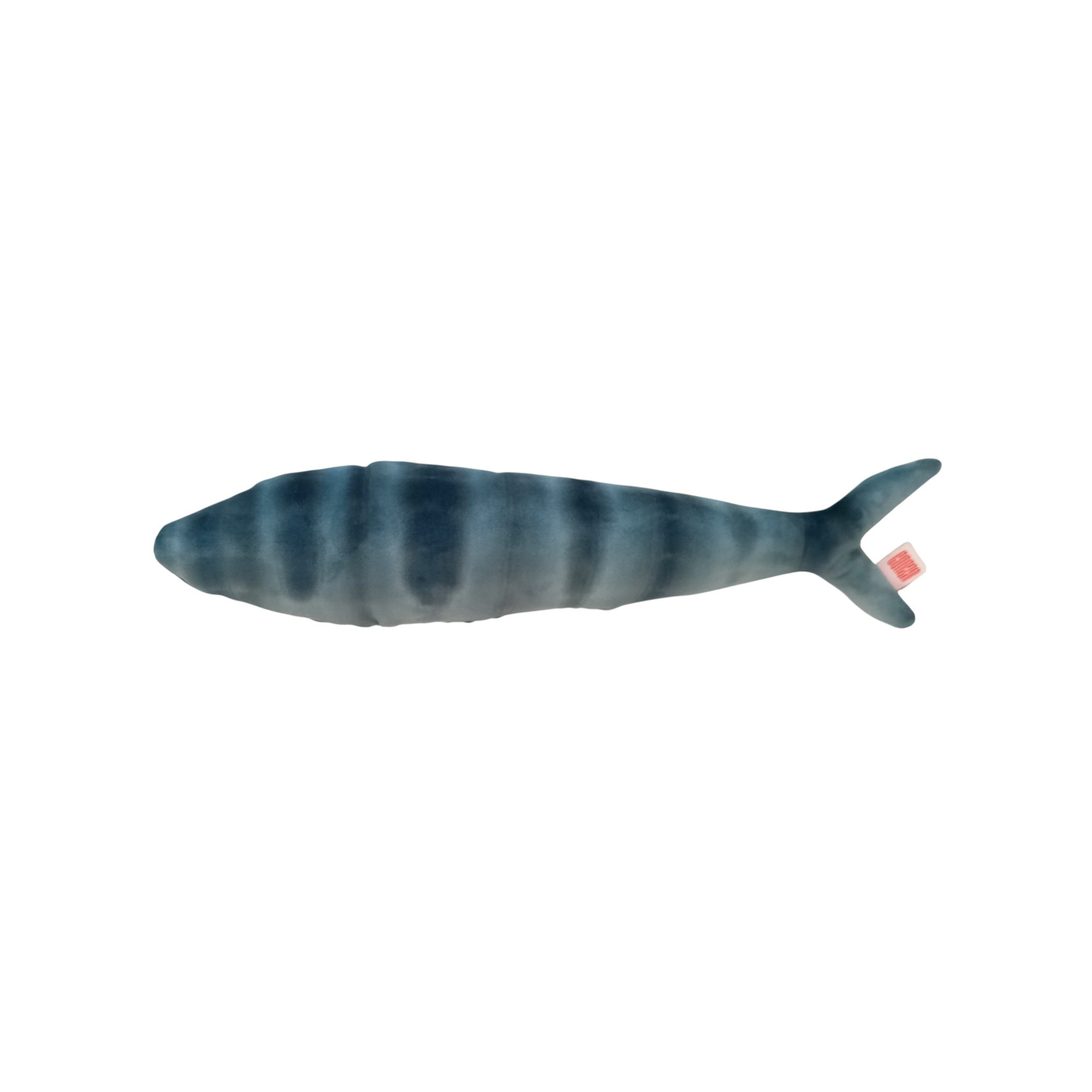 Maquereau RAOUL (bleu clair)