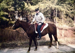 Sport-Saddle-Bob-705x497.jpg