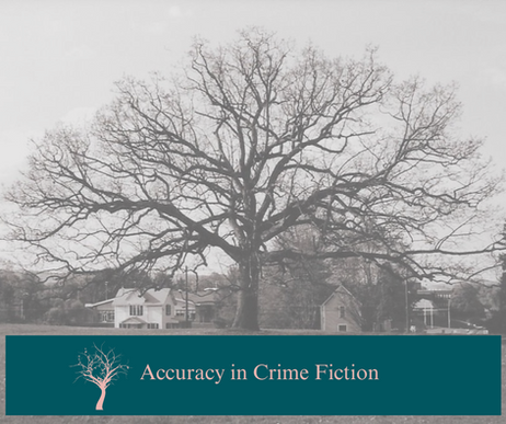 Accuracy in Crime Fiction