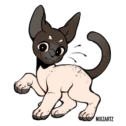 sparklingwish.PNG