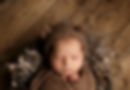 Teddy_08_edited.jpg