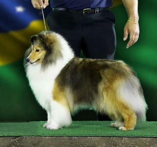 WhatsApp Image 2024-01-29 at 12_edited.j