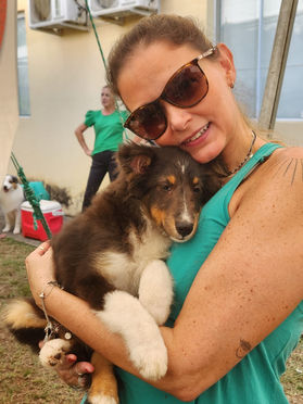 Especializada de pastor de Shetland  - Kennel Clube São Paulo
Juiza Maria Eduarda Bicca Dode