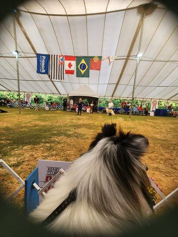 WhatsApp Image 2023-03-18 at 19.16.41 (1).jpeg