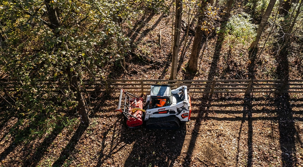 forestry-mulching-03_edited.jpg