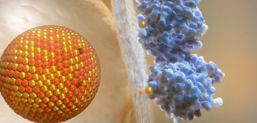 Screenshot 2026-02-16 at 13.09.23.png