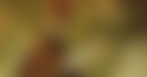 São Januário: exemplo de coragem cristã