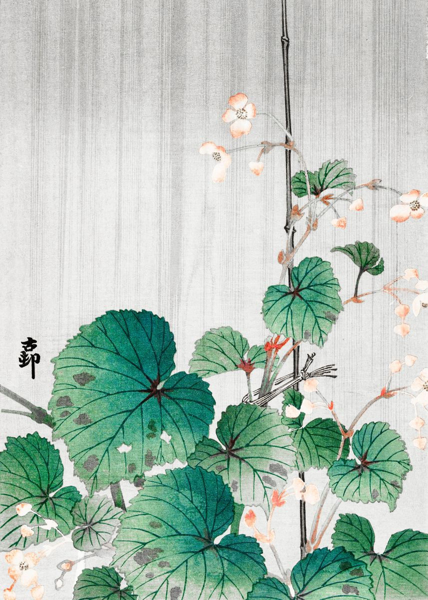 Thumbnail: Hand-painted Japanese botanical art with green leaves, white flowers, and kanji.