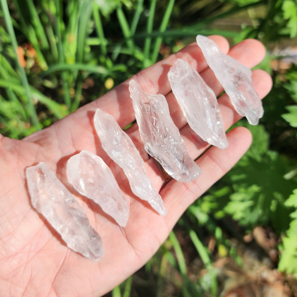 Hand holding several raw clear quartz crystals