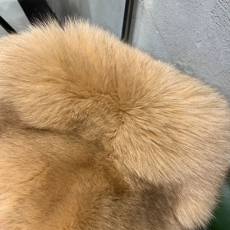 Thumbnail: Fluffy light brown fur