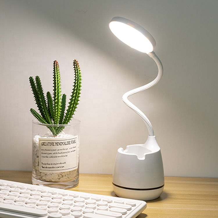 Lit white desk lamp with flexible neck, cactus plant on desk