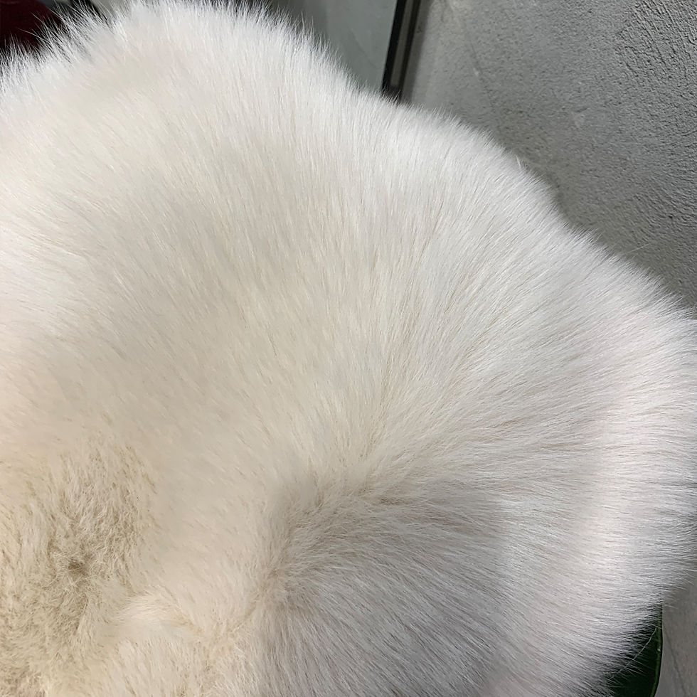Thumbnail: Close-up of white fur texture