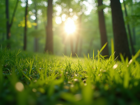 The Importance of Sustainable Living in Today's World