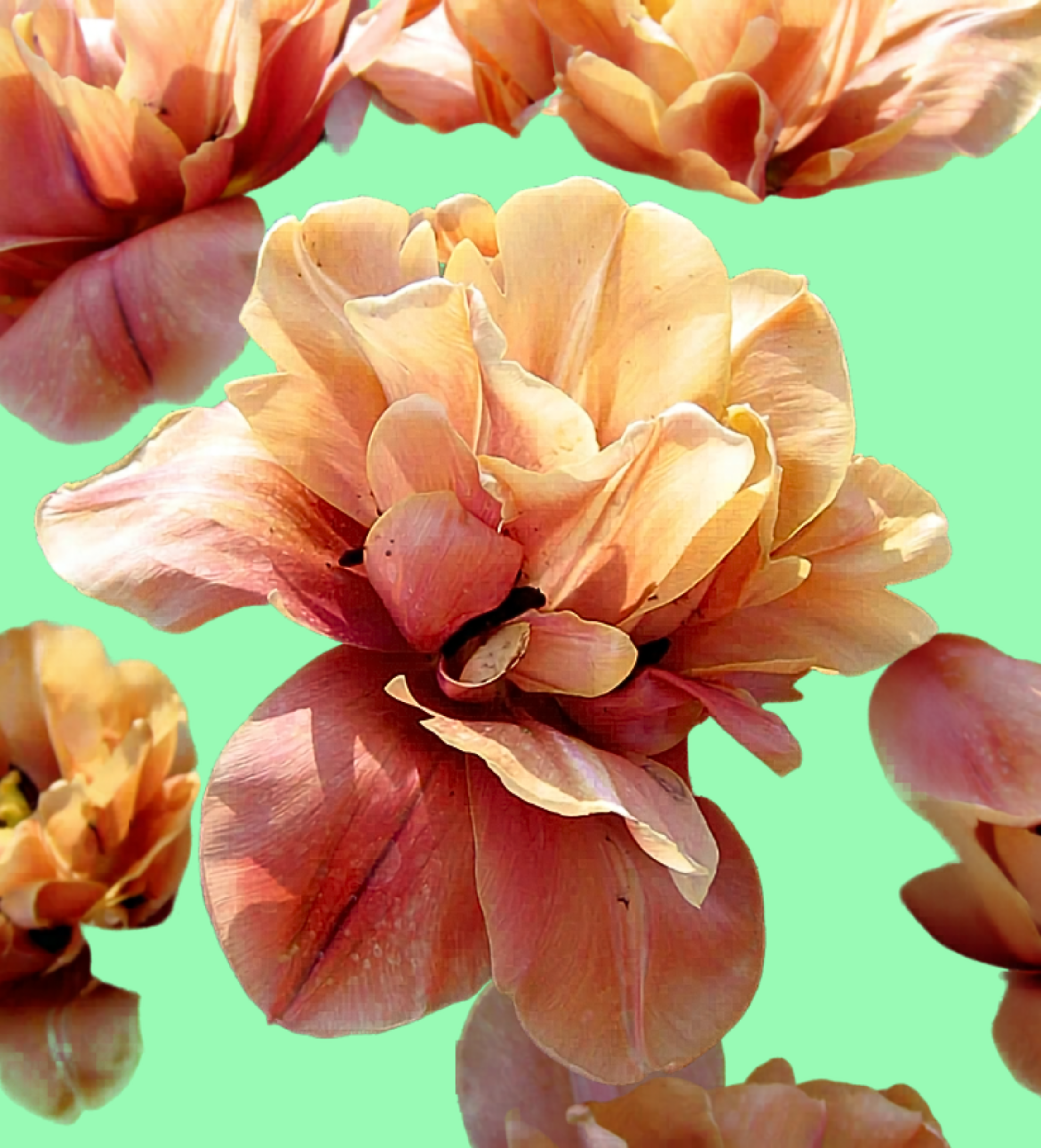 Bouquet fête des mères