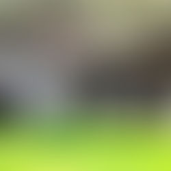 Dai clasti di calce viva alle calci battute, riflessioni di un architetta "muratore" e ricercatore