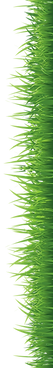 2(вертикаль.).png