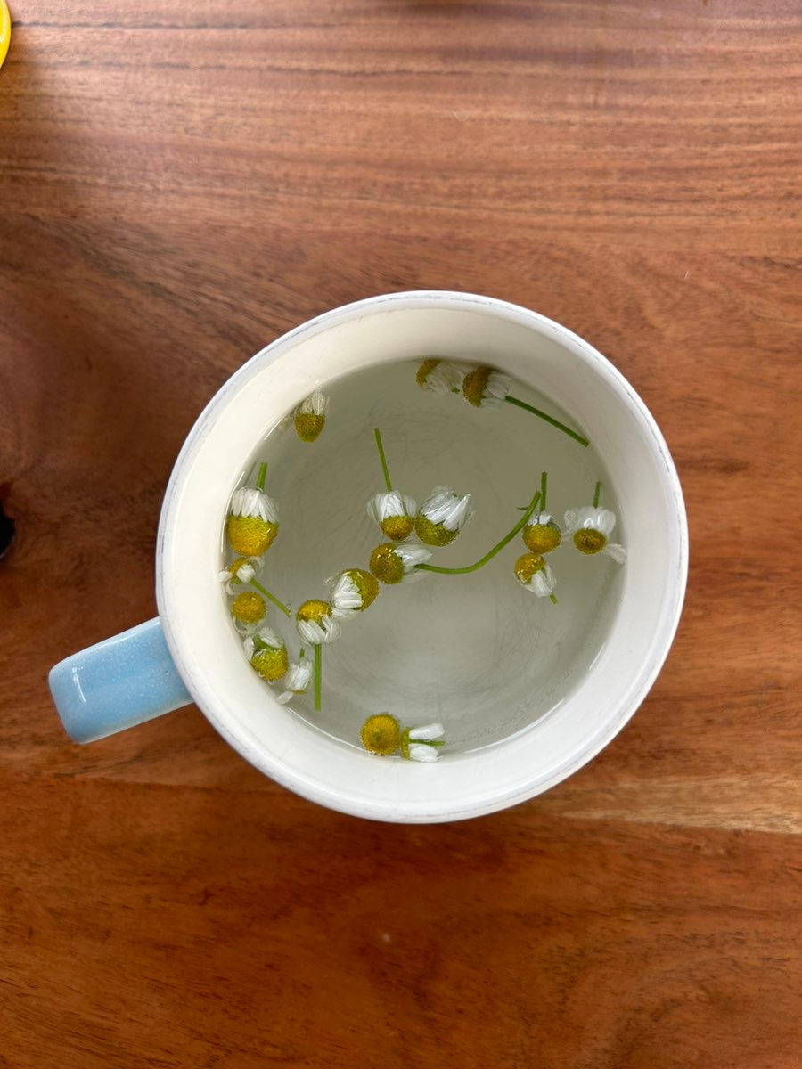 cup of chamomile tea for wellness