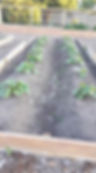 37234990_10155592400945868_8880284014821