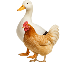 ChatGPT Image Aug 8, 2025 at 01_42_17 PM.png