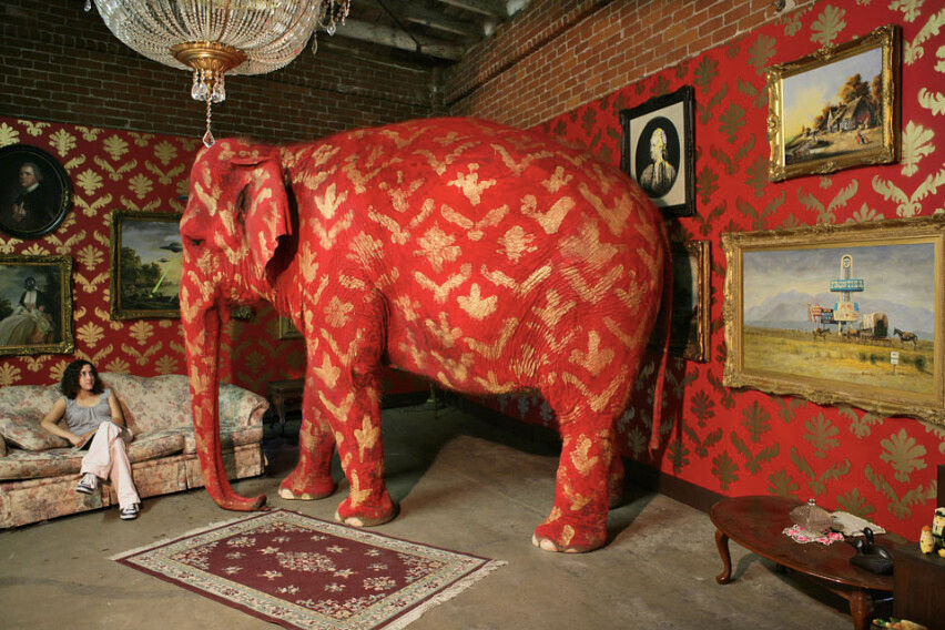 The Elephant in the Room?