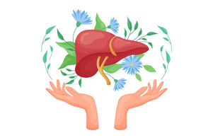 Foie : faut-il vraiment faire des cures détox ?