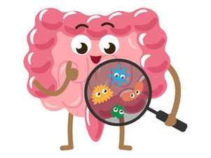 Le rôle du microbiote intestinal dans la santé hormonale