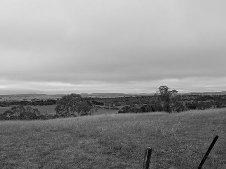 Farmland landscape in regional NSW showing rolling paddocks and countryside typical of rural communities.